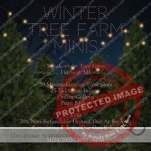 Don't forget to book with me for your evening tree farm snowy photo sesh 

 They...